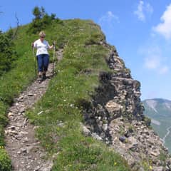 Bild von Geführte Wanderung